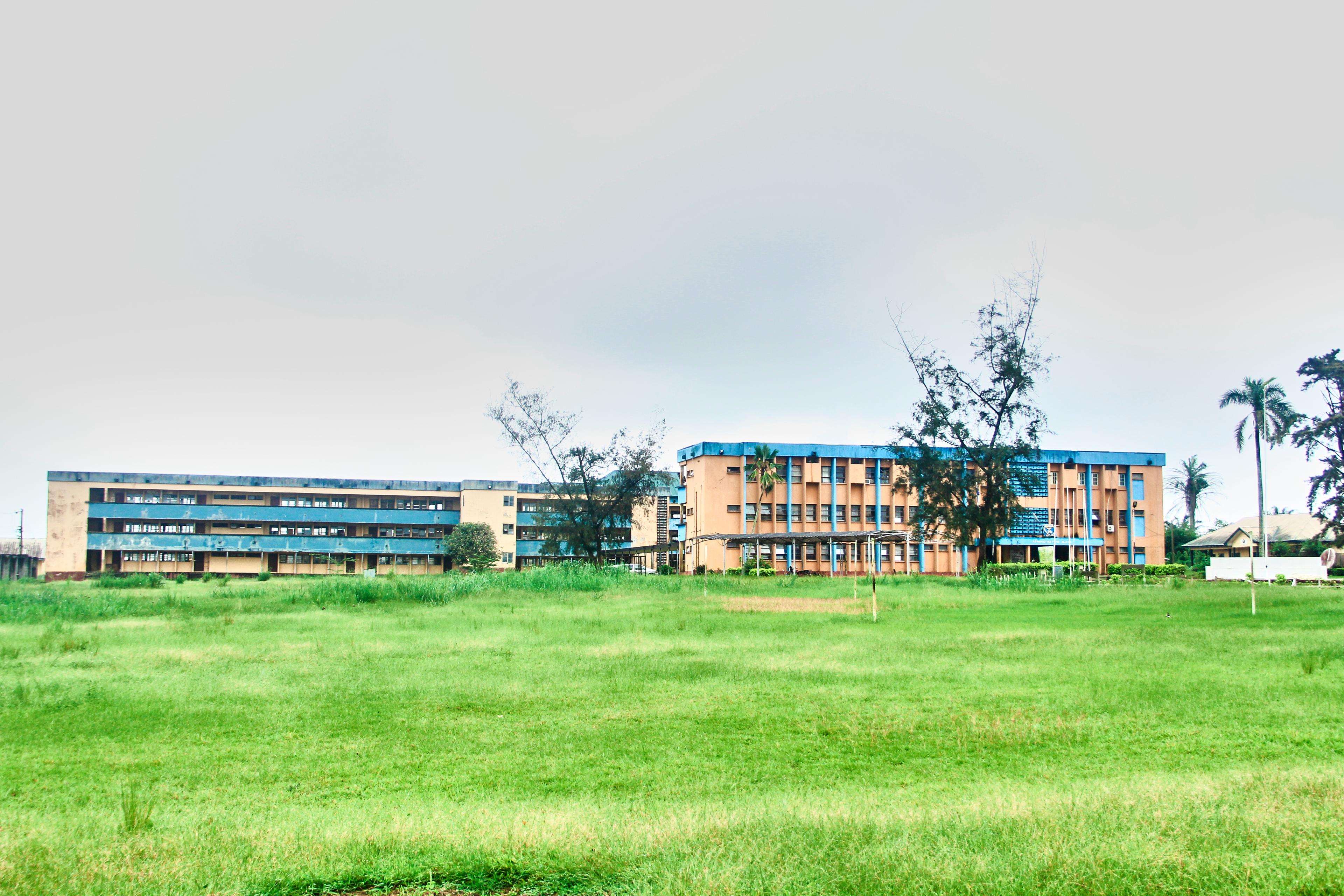 Class reunion image 6